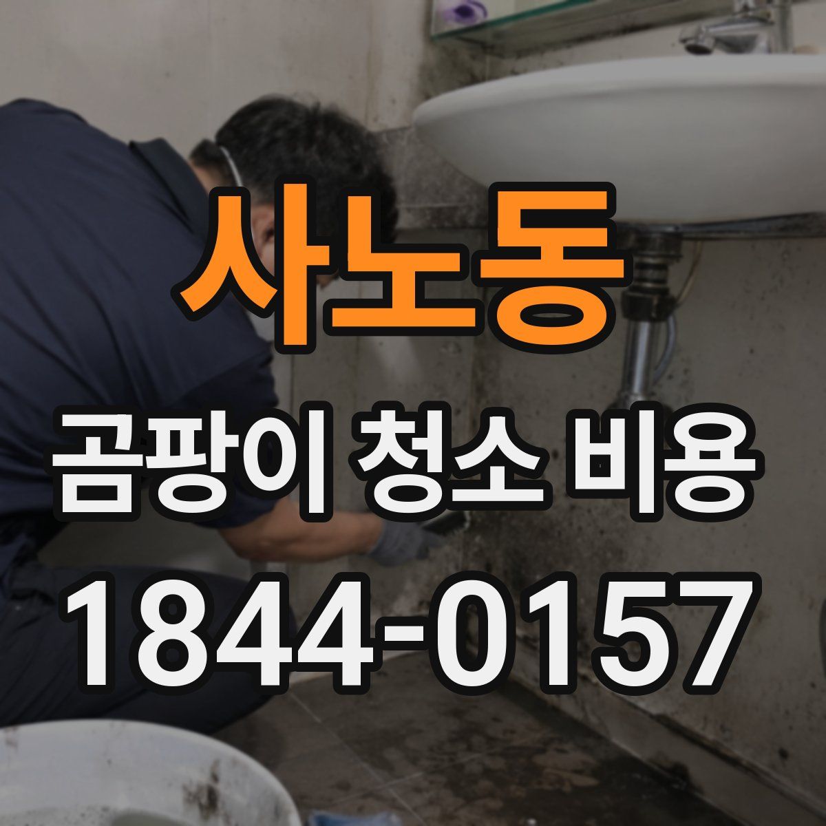 사노동 곰팡이 청소 비용