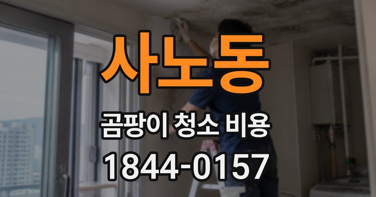 사노동 곰팡이 청소 비용