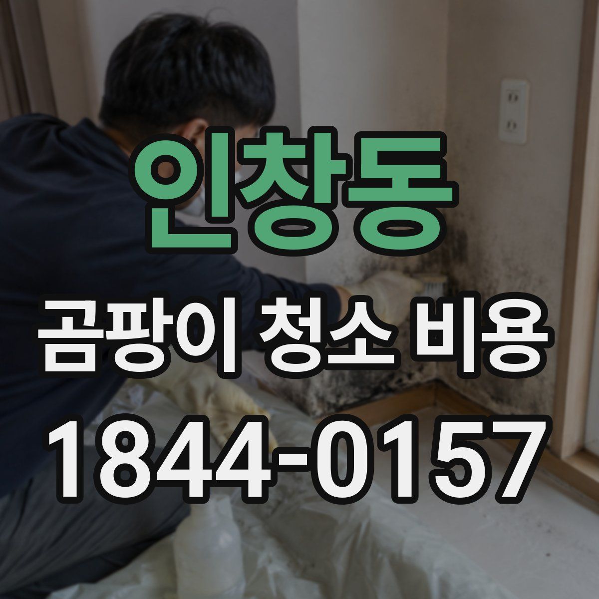 인창동 곰팡이 청소 비용