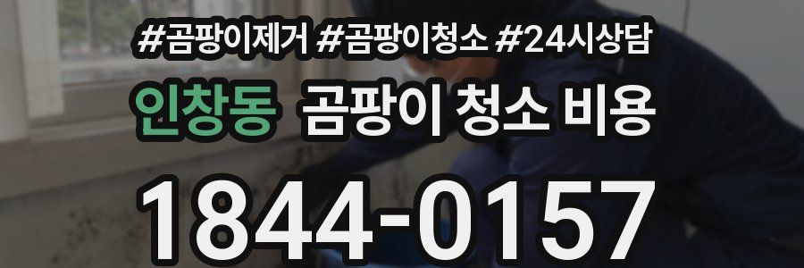 인창동 곰팡이 청소 비용