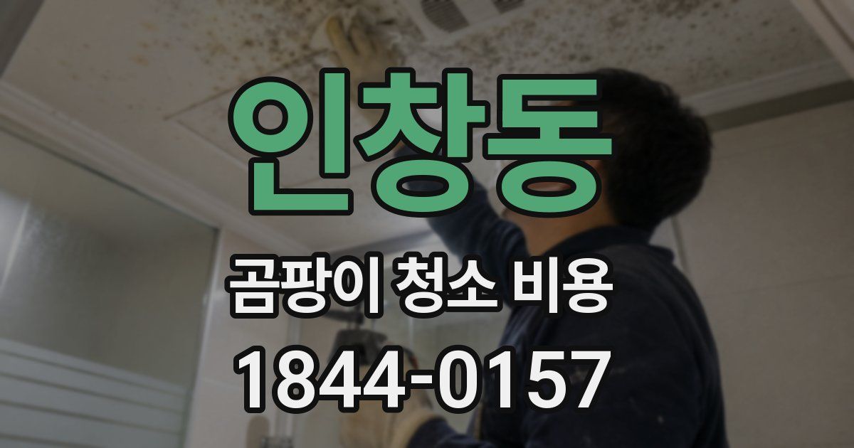 인창동 곰팡이 청소 비용