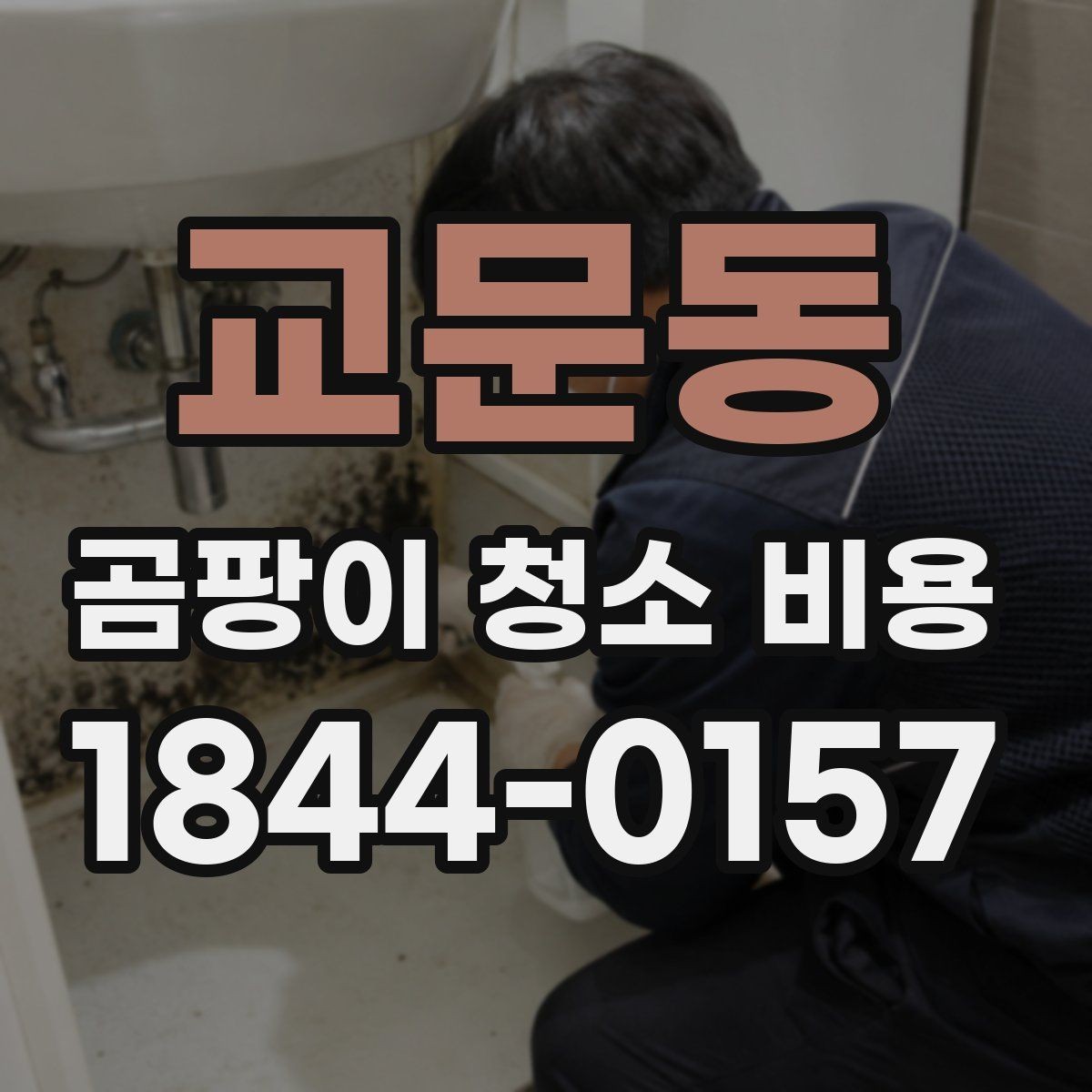 교문동 곰팡이 청소 비용 벽지 손상 여부에 따른 작업 차이