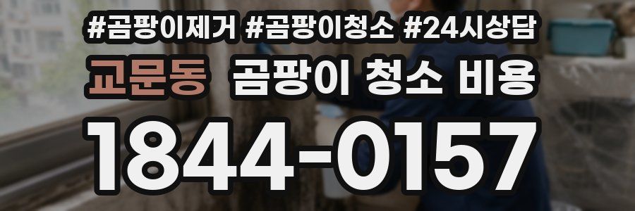 교문동 곰팡이 청소 비용