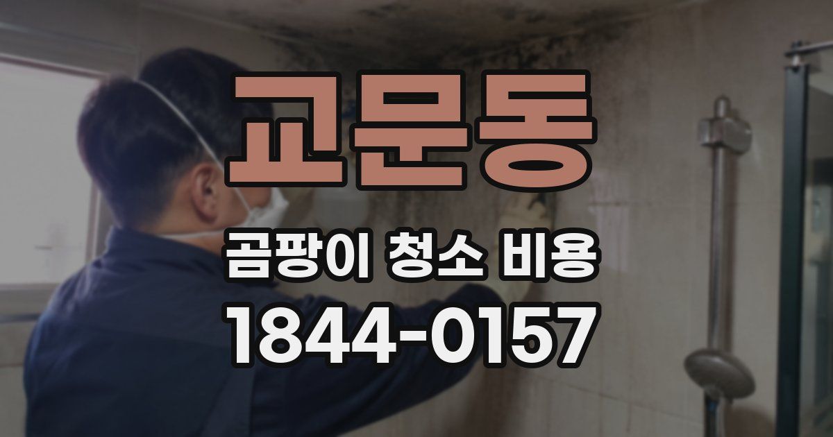 교문동 곰팡이 청소 비용