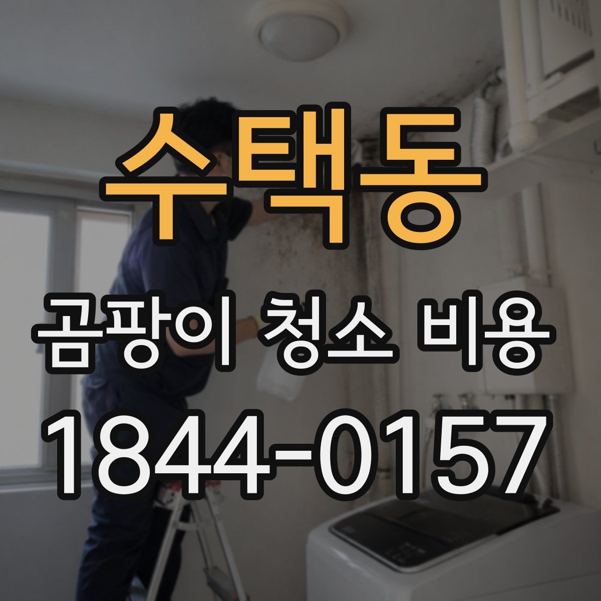 수택동 곰팡이 청소 비용