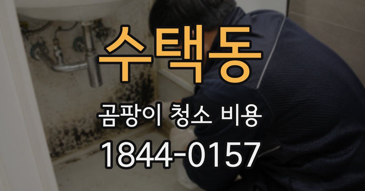 수택동 곰팡이 청소 비용