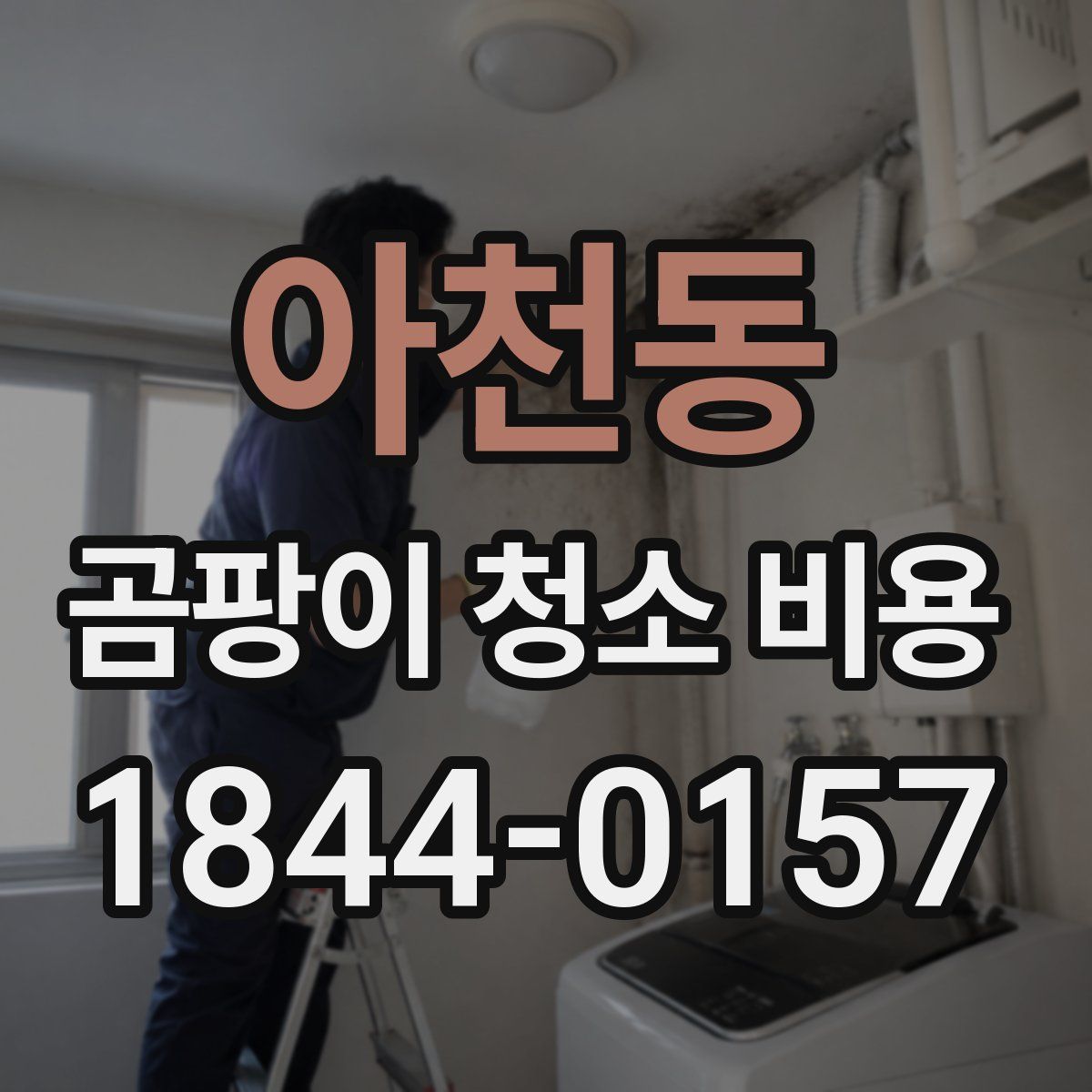 아천동 곰팡이 청소 비용
