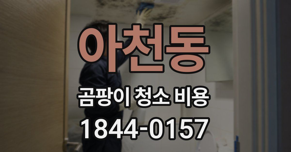 아천동 곰팡이 청소 비용