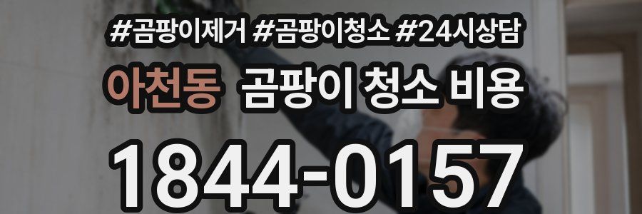 아천동 곰팡이 청소 비용