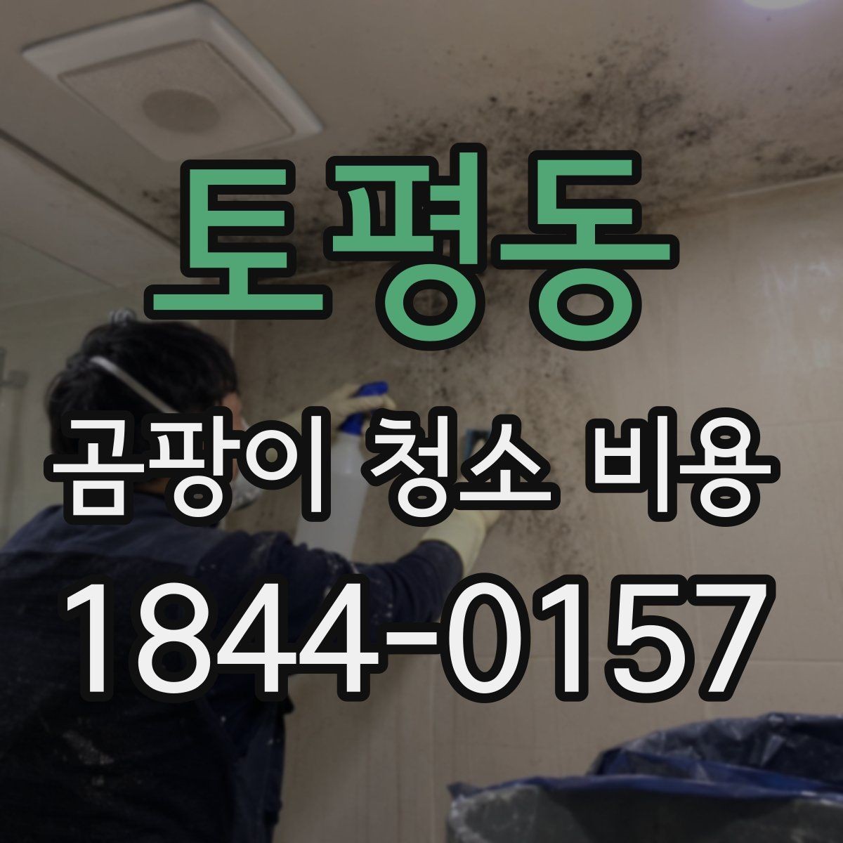 토평동 곰팡이 청소 비용 냄새와 오염을 함께 처리하는 기준