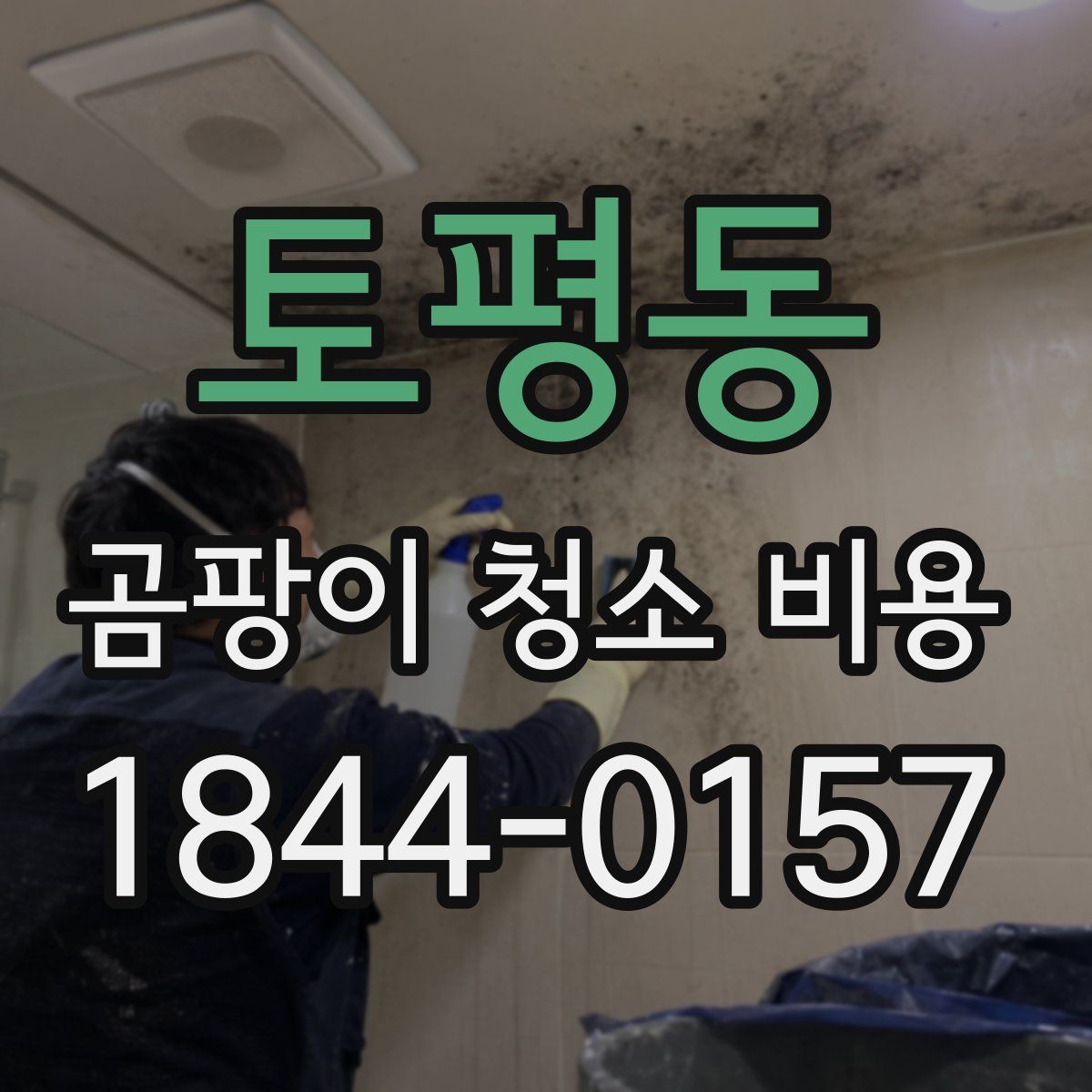 토평동 곰팡이 청소 비용