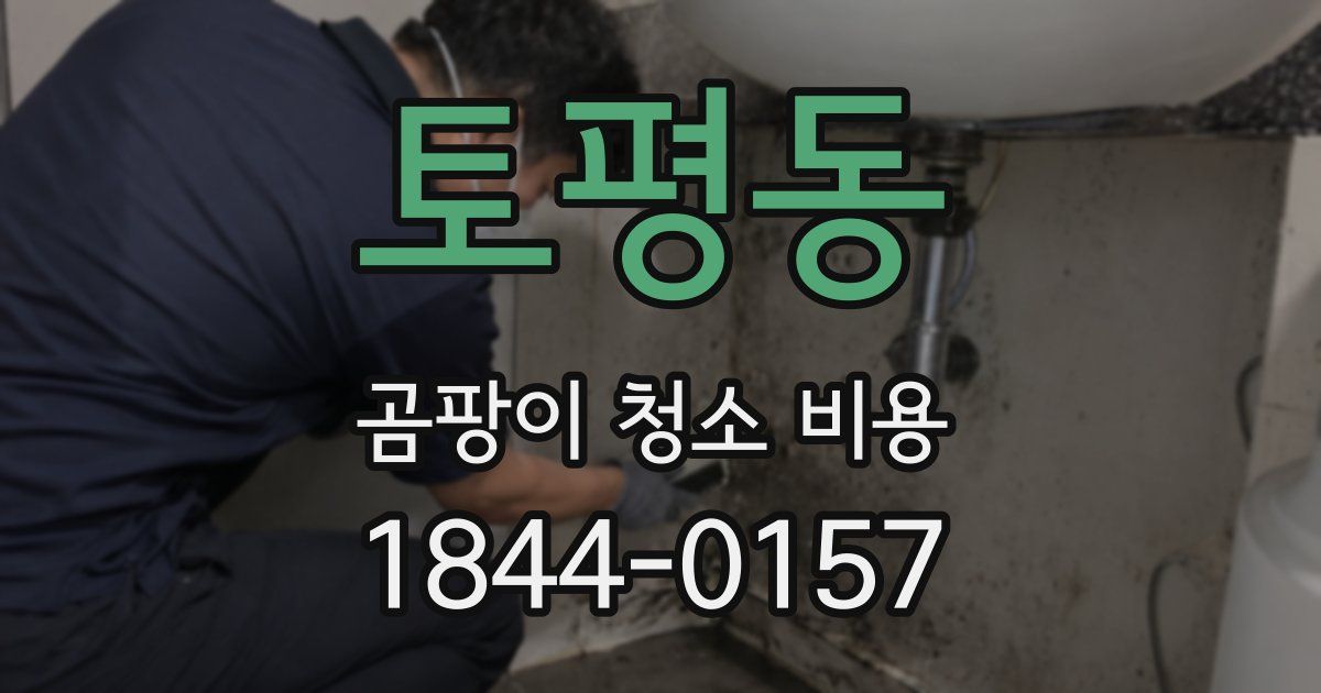 토평동 곰팡이 청소 비용