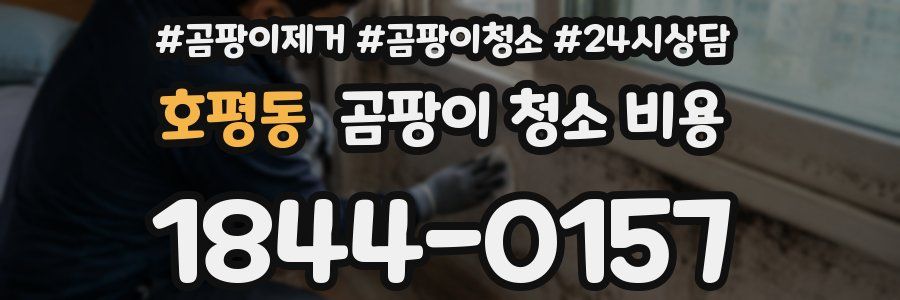 호평동 곰팡이 청소 비용