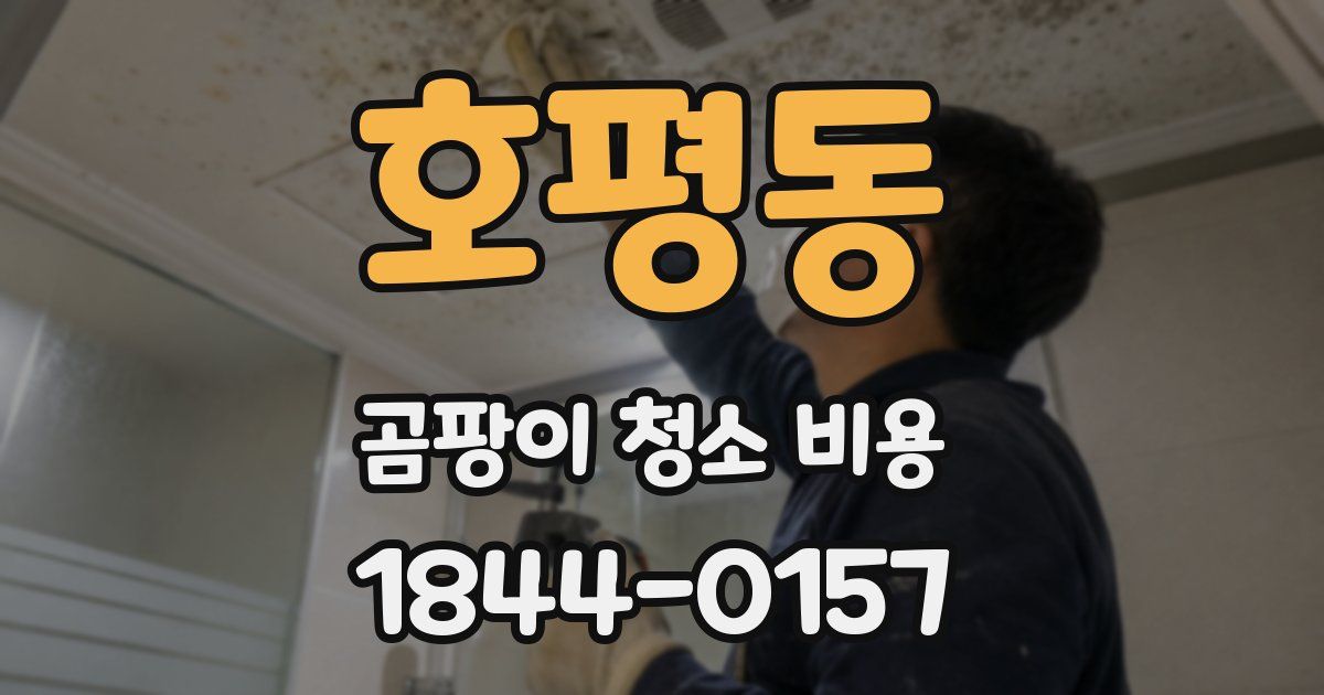 호평동 곰팡이 청소 비용