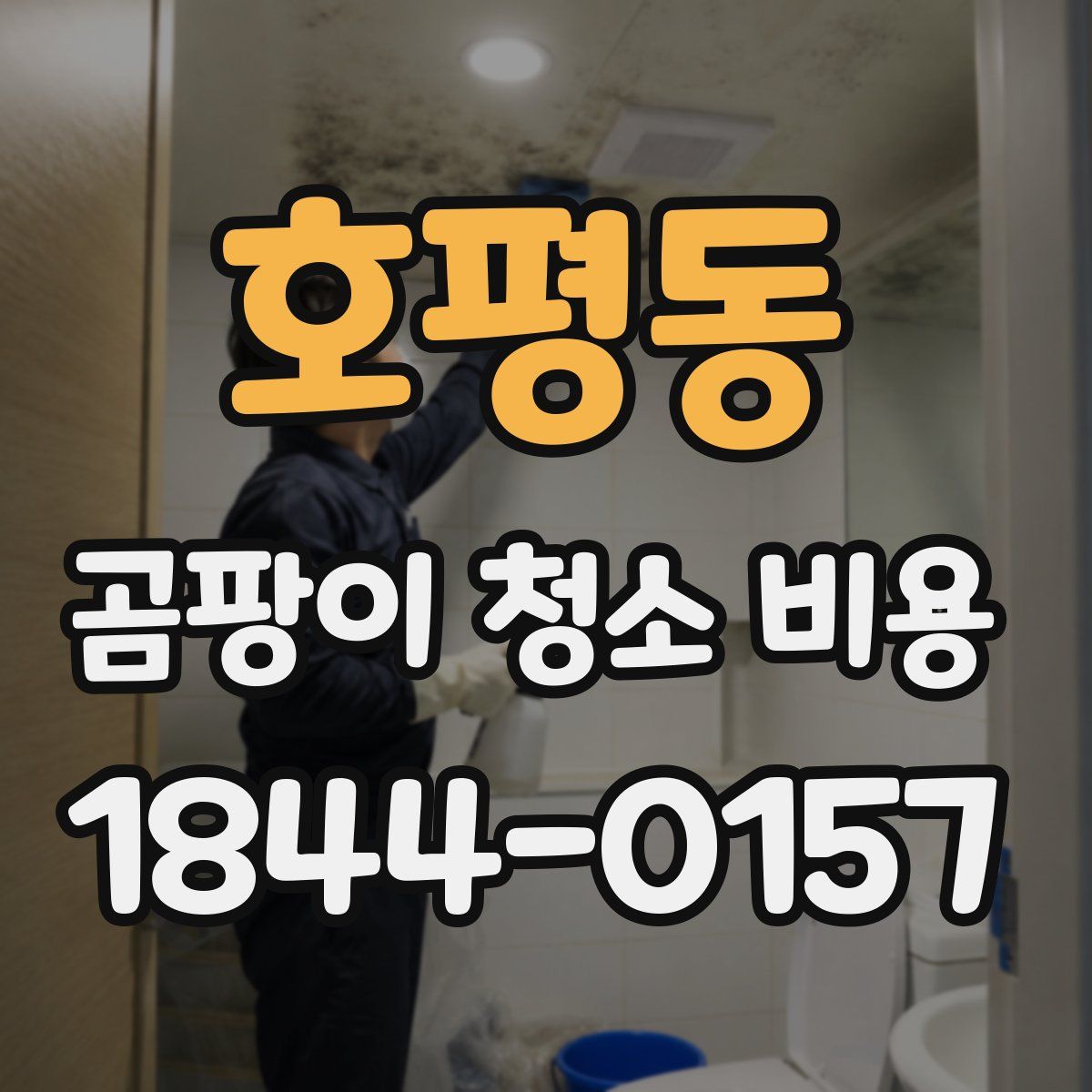 호평동 곰팡이 청소 비용