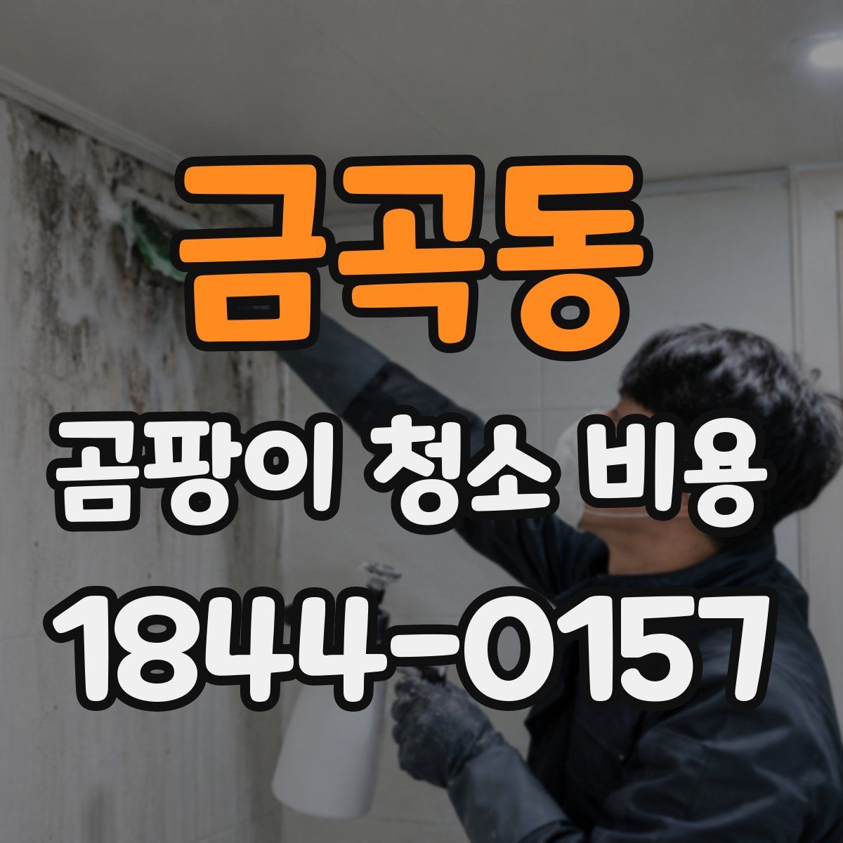 금곡동 곰팡이 청소 비용