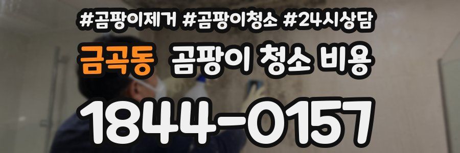 금곡동 곰팡이 청소 비용