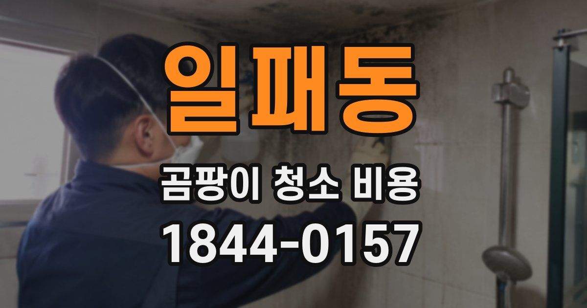 일패동 곰팡이 청소 비용