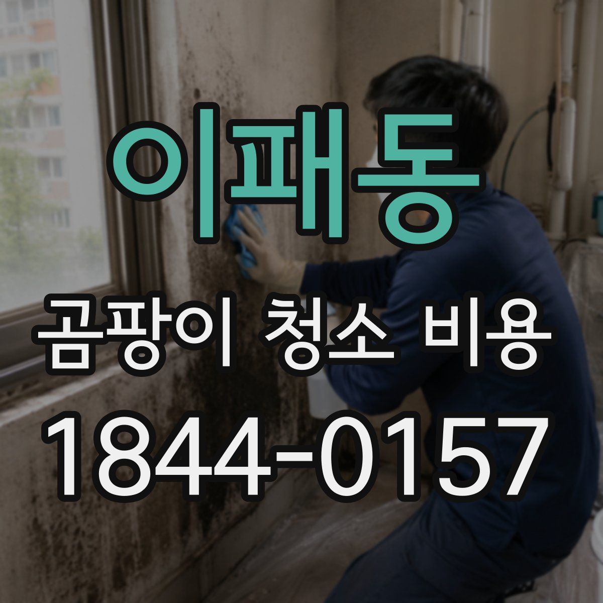 이패동 곰팡이 청소 비용