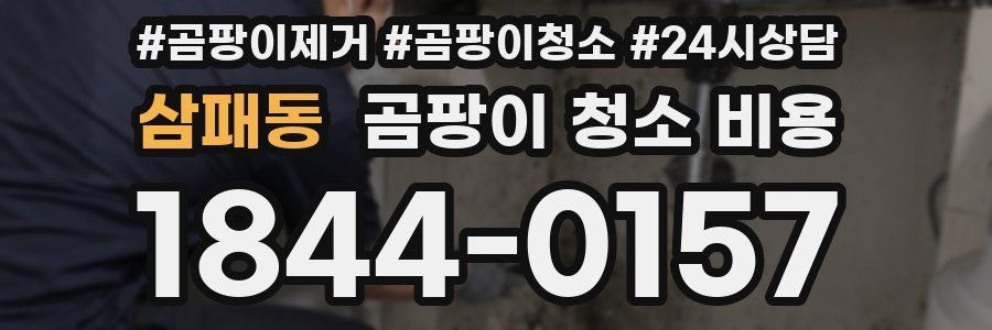 삼패동 곰팡이 청소 비용