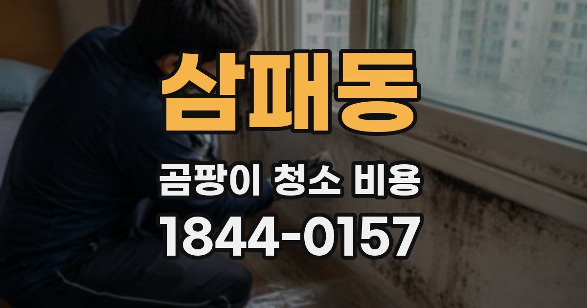 삼패동 곰팡이 청소 비용