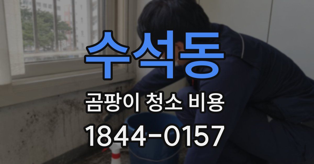 수석동 곰팡이 청소 비용