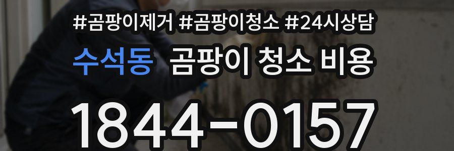 수석동 곰팡이 청소 비용