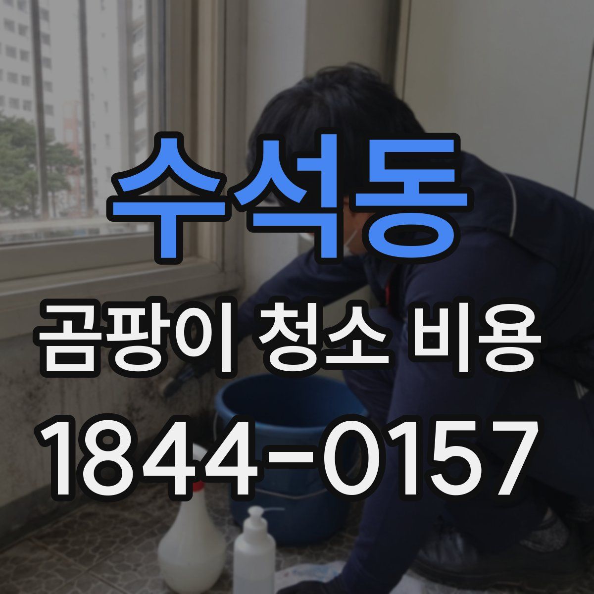 수석동 곰팡이 청소 비용
