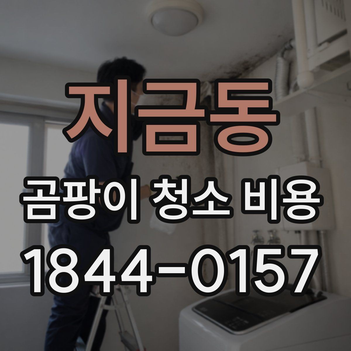 지금동 곰팡이 청소 비용 욕실 누수 뒤 확인해야 할 순서와 항목