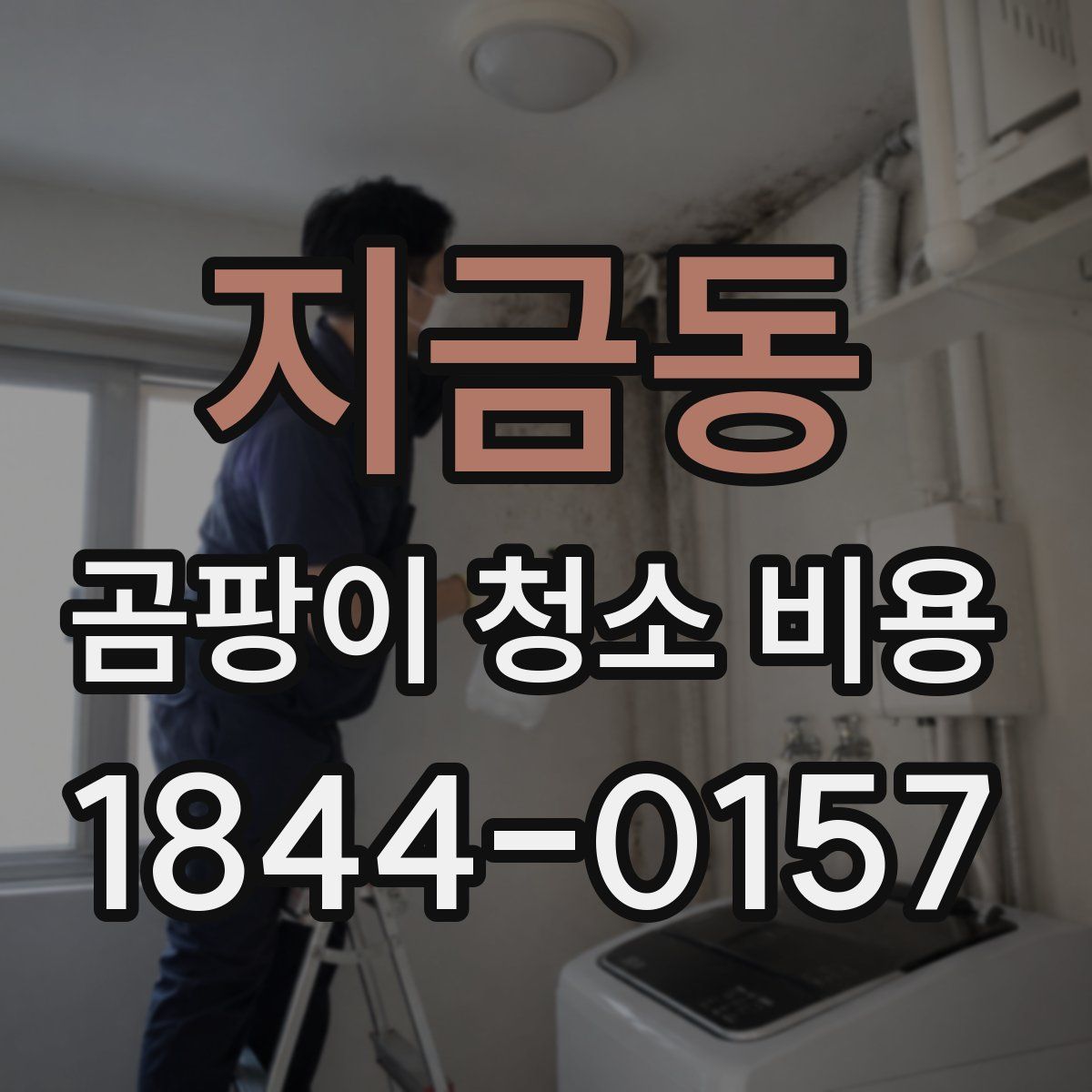 지금동 곰팡이 청소 비용