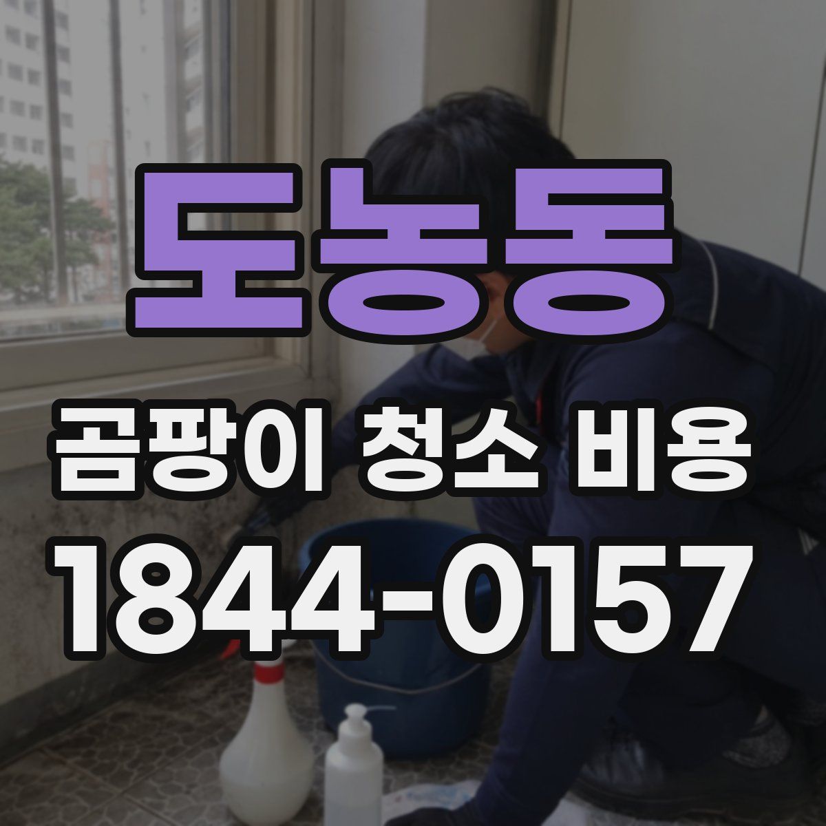 도농동 곰팡이 청소 비용