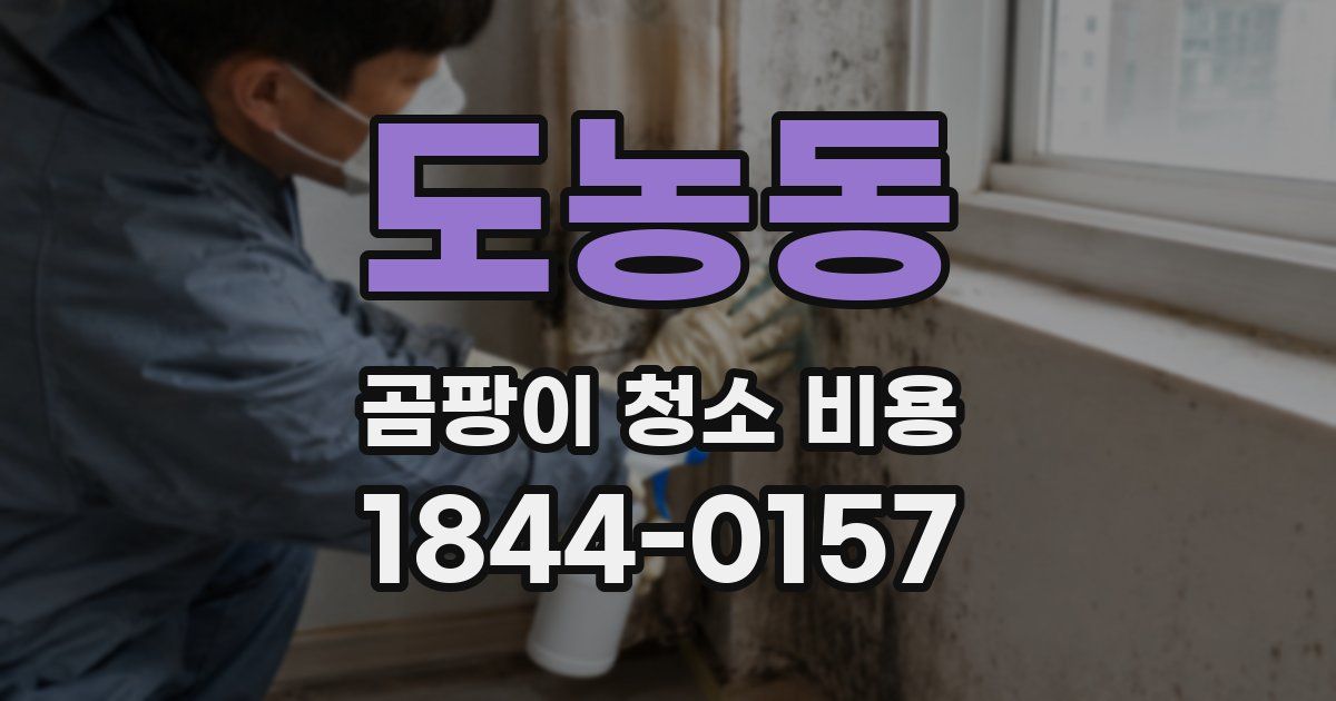 도농동 곰팡이 청소 비용