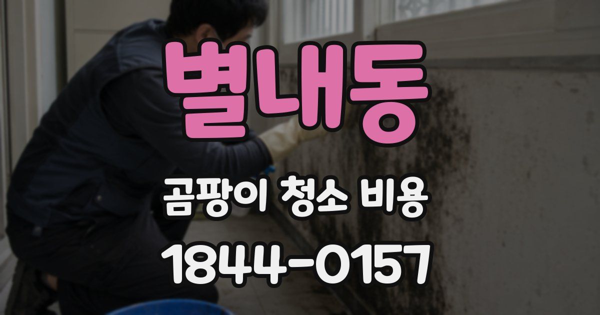 별내동 곰팡이 청소 비용