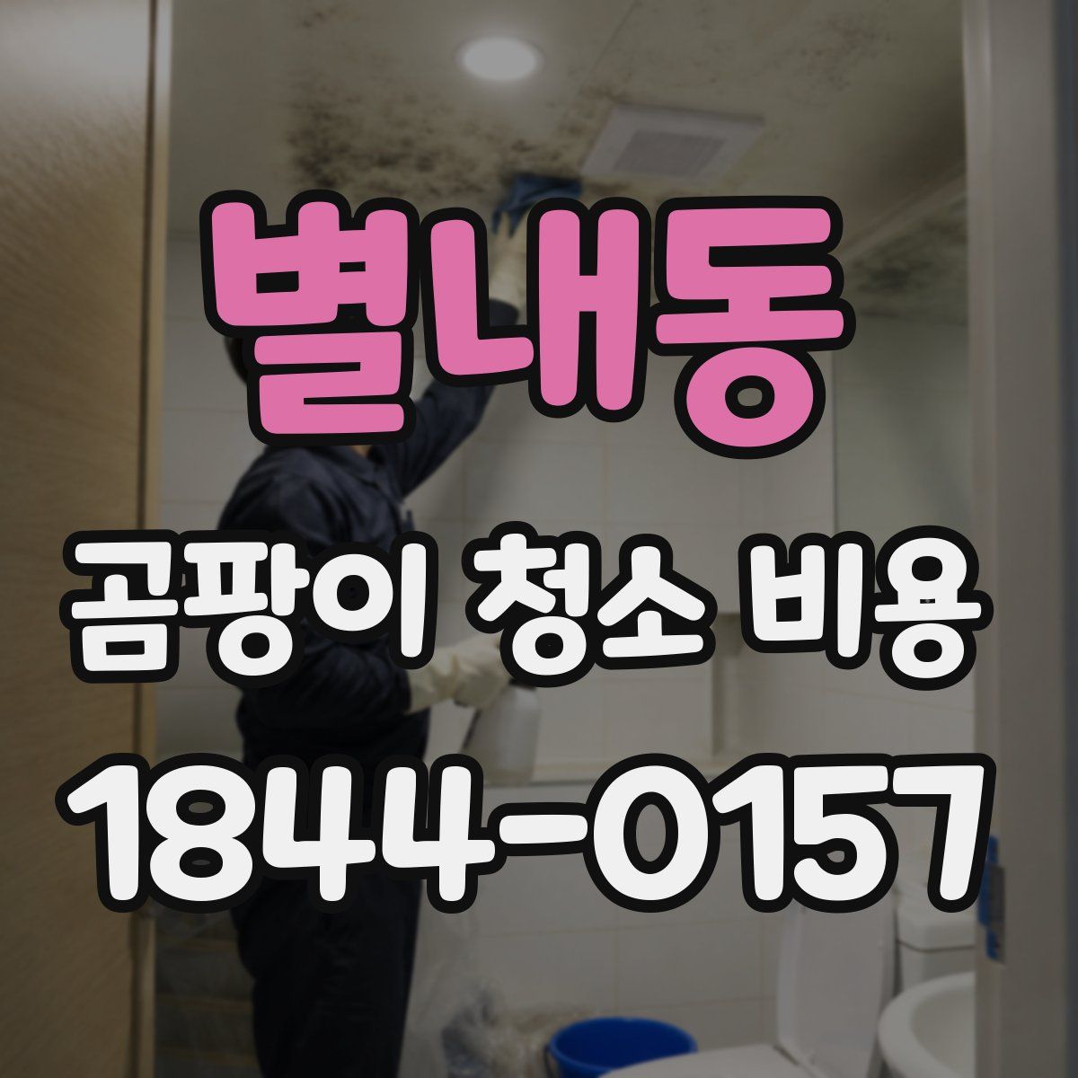 별내동 곰팡이 청소 비용