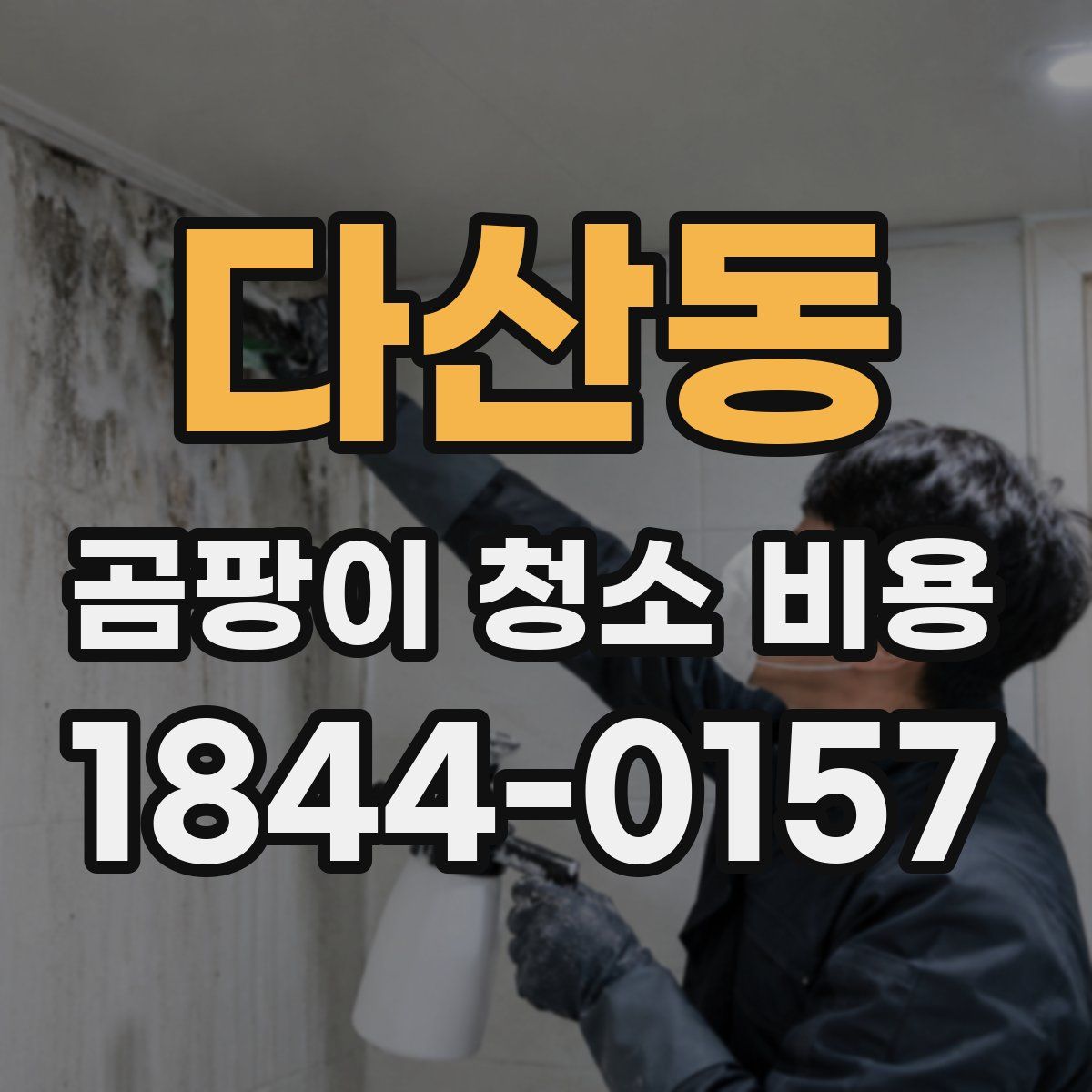 다산동 곰팡이 청소 비용