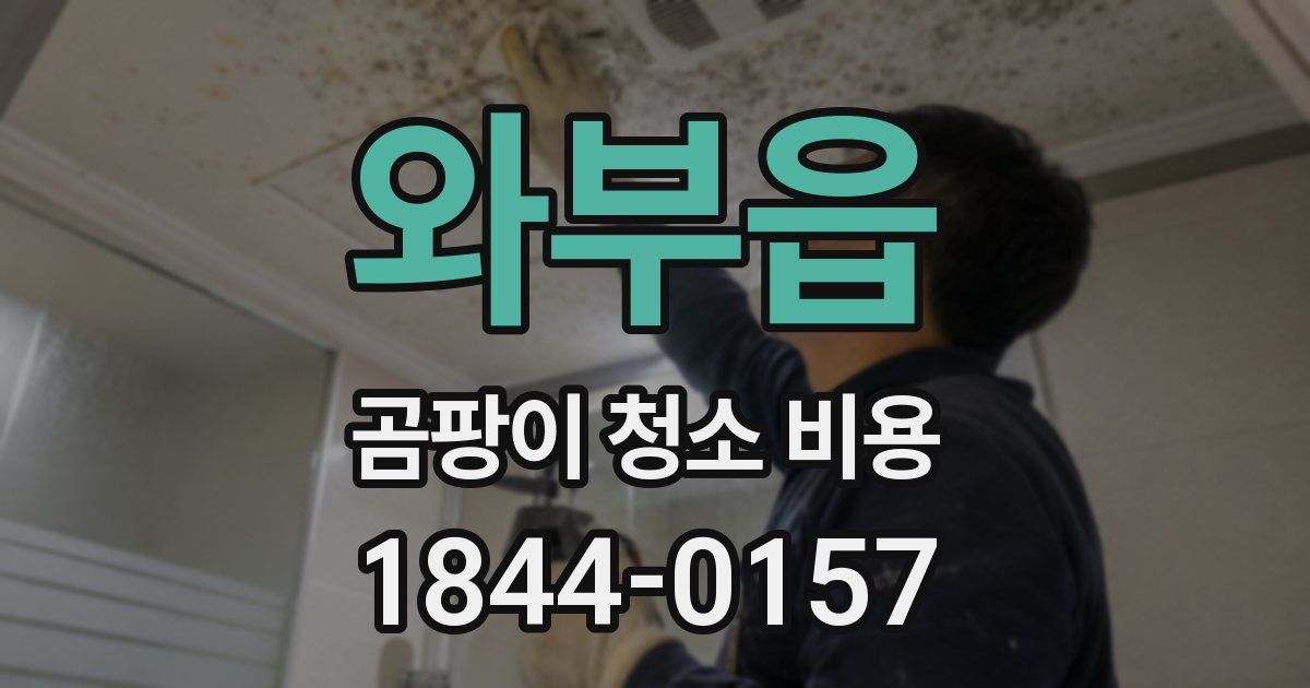 와부읍 곰팡이 청소 비용