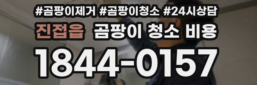 진접읍 곰팡이 청소 비용