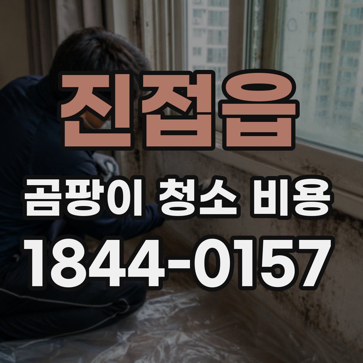 진접읍 곰팡이 청소 비용