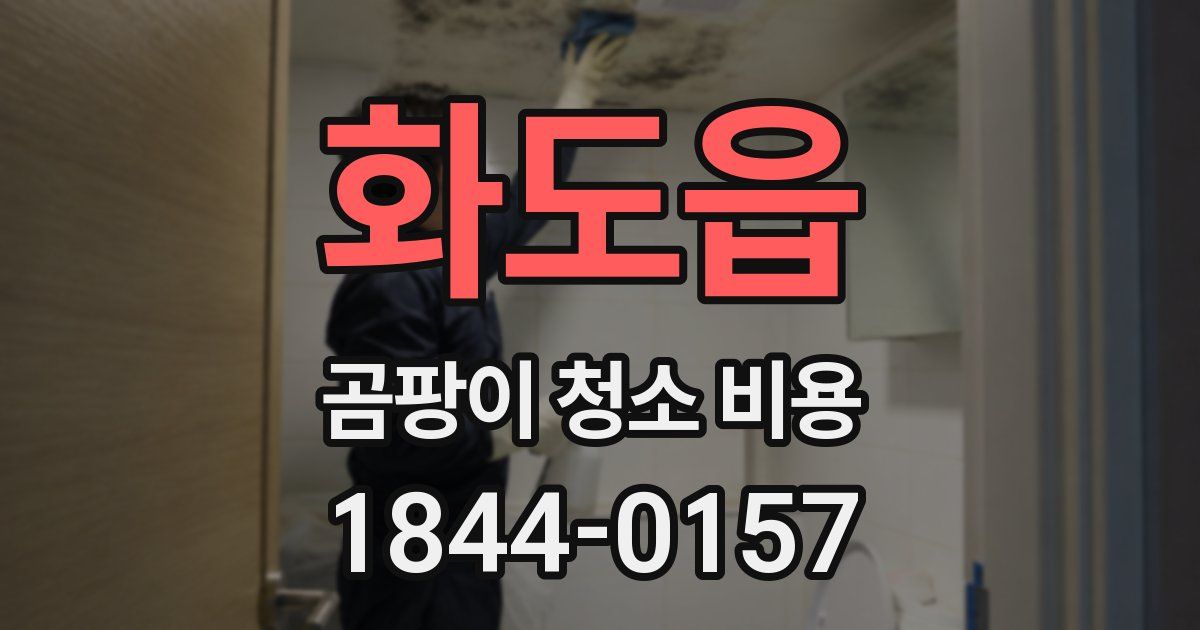 화도읍 곰팡이 청소 비용