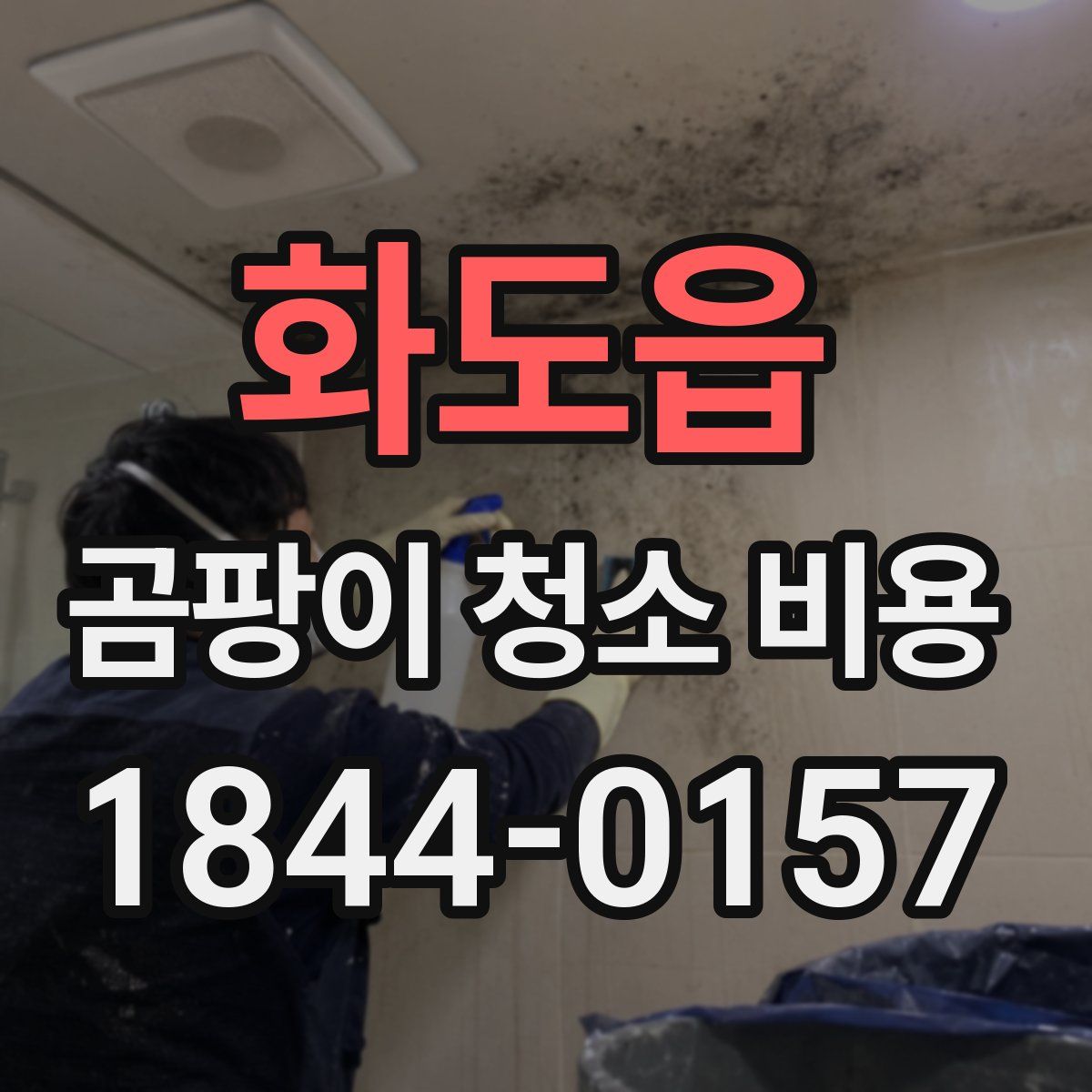 화도읍 곰팡이 청소 비용