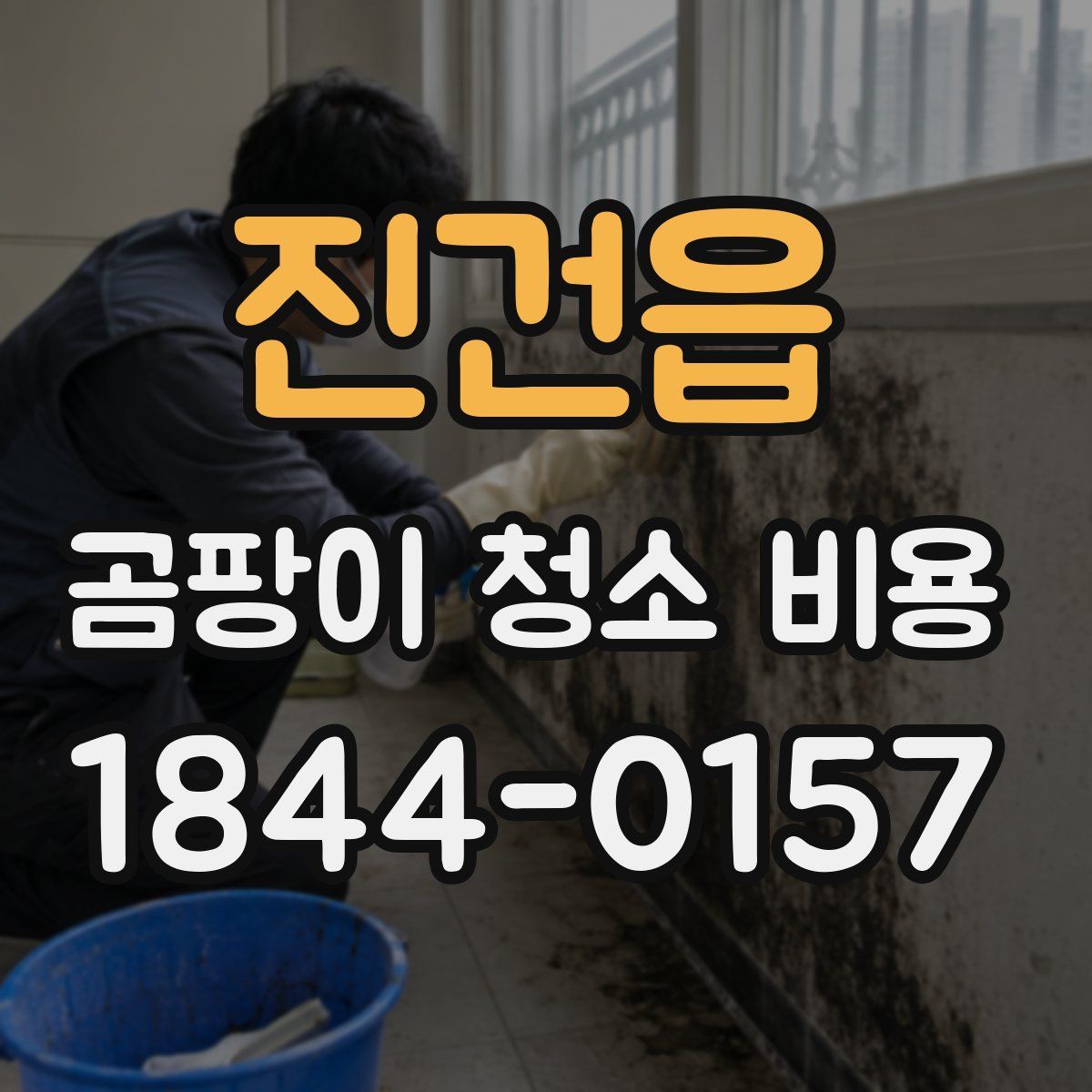 진건읍 곰팡이 청소 비용