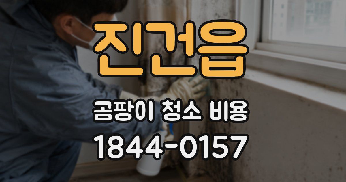 진건읍 곰팡이 청소 비용