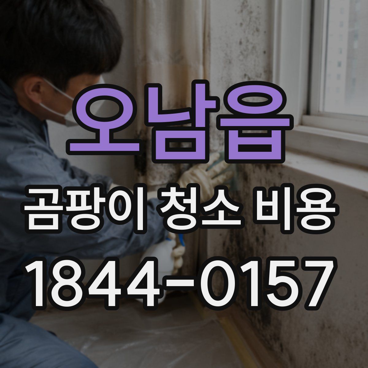 오남읍 곰팡이 청소 비용