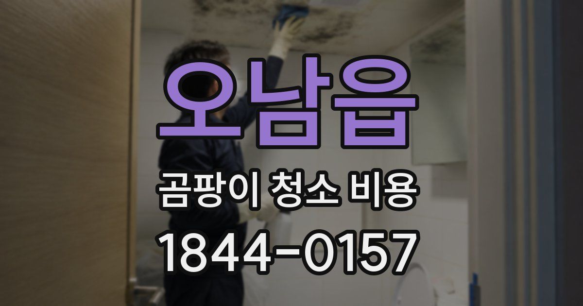 오남읍 곰팡이 청소 비용