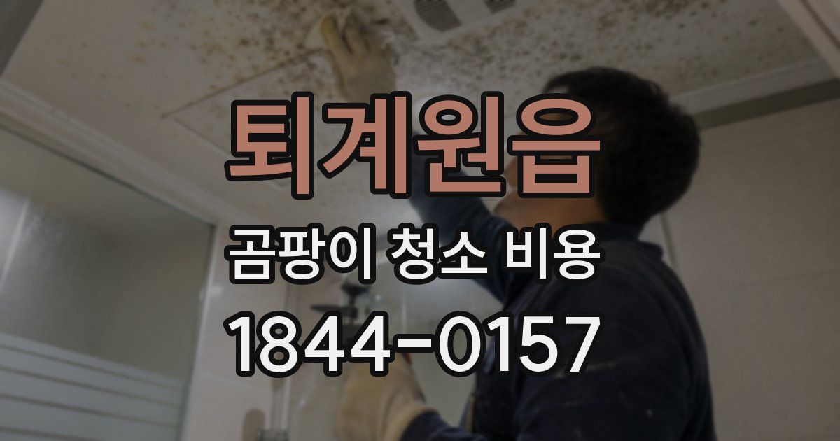 퇴계원읍 곰팡이 청소 비용