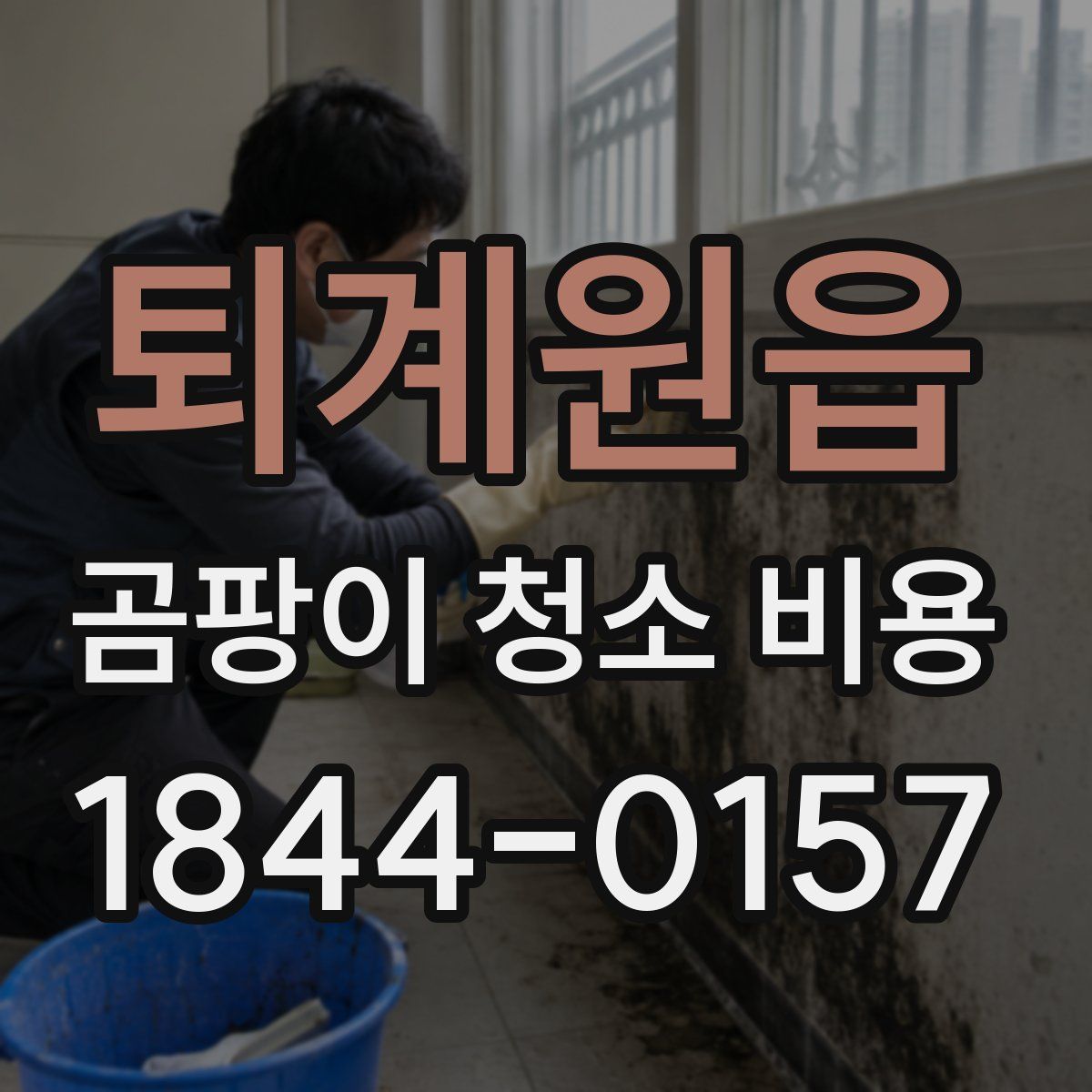 퇴계원읍 곰팡이 청소 비용