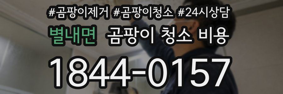 별내면 곰팡이 청소 비용