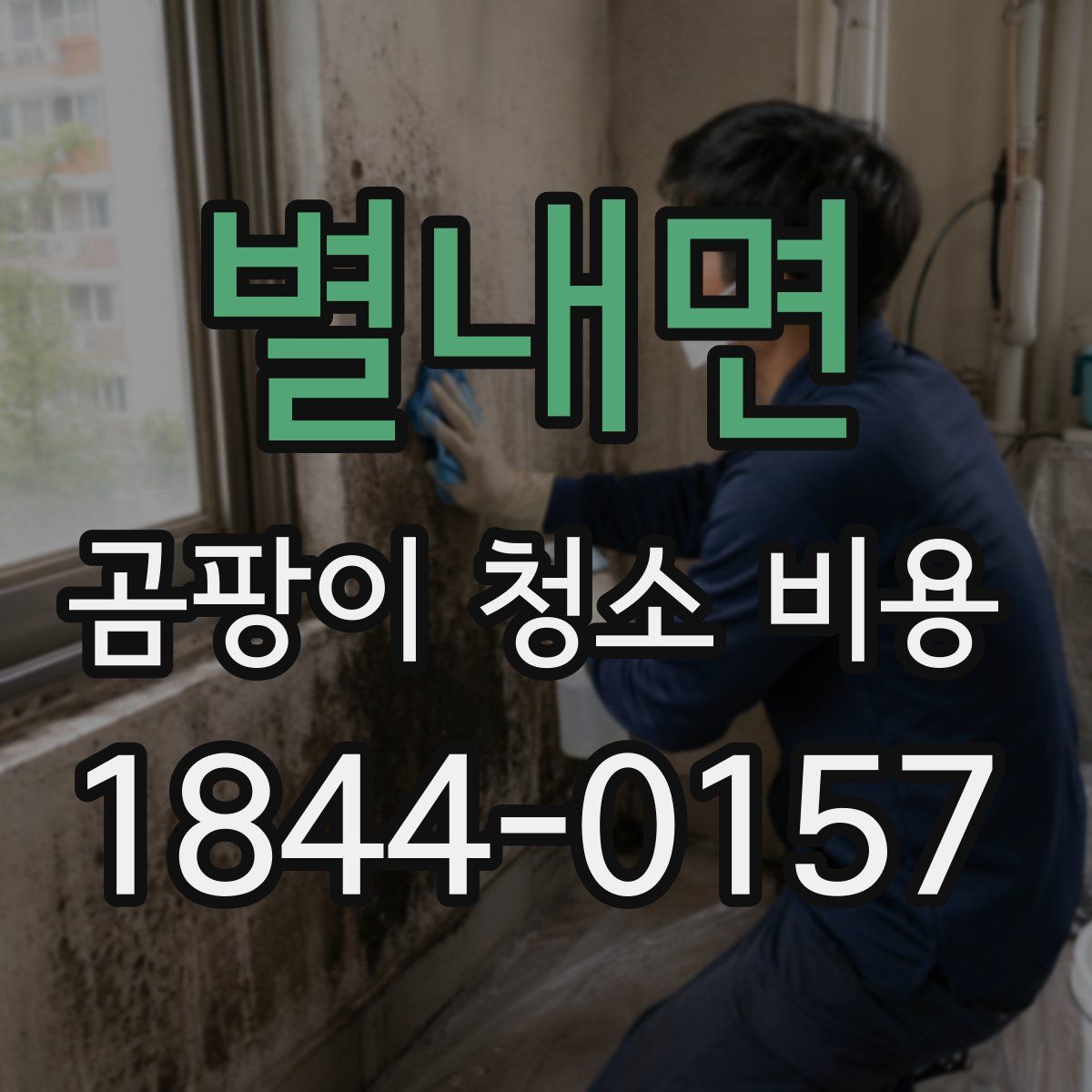 별내면 곰팡이 청소 비용