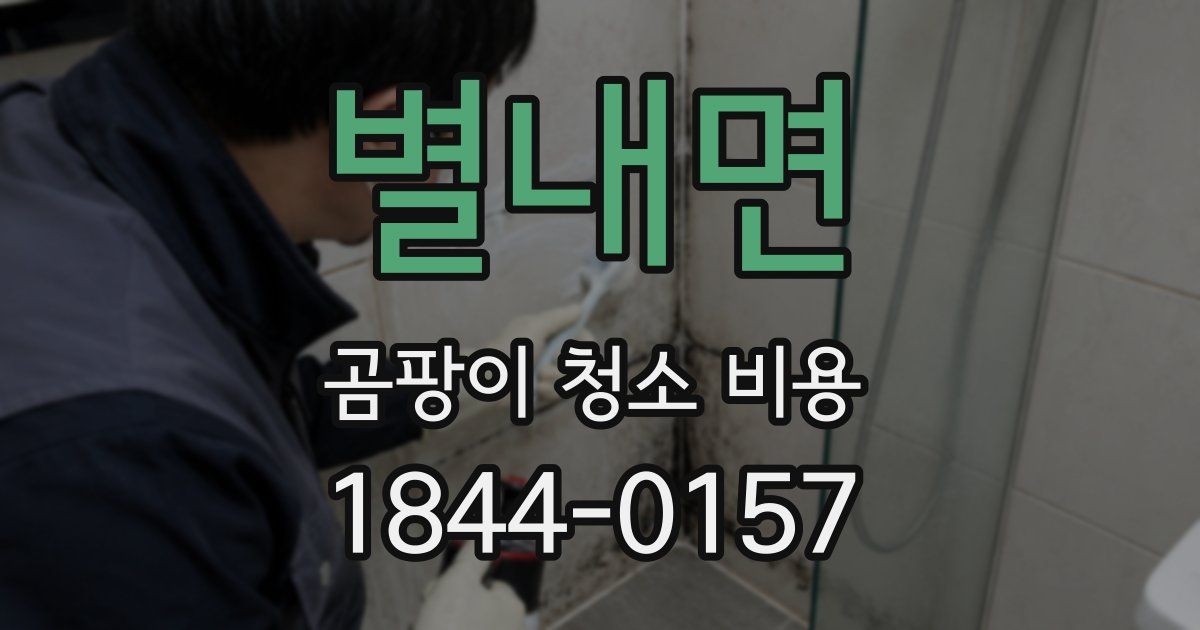 별내면 곰팡이 청소 비용