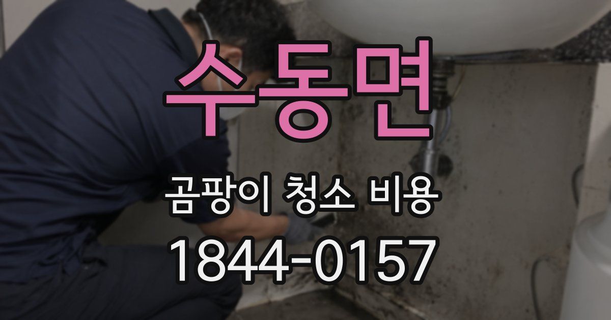 수동면 곰팡이 청소 비용